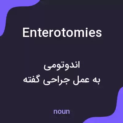 معنی enterotomies به فارسی معنی enterotomies به فارسی