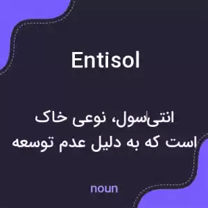 معنی entisol به فارسی معنی entisol به فارسی