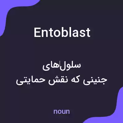 معنی entoblast به فارسی معنی entoblast به فارسی