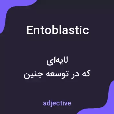 معنی entoblastic به فارسی معنی entoblastic به فارسی