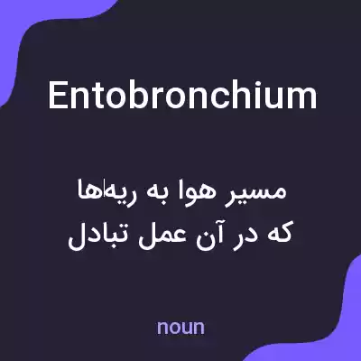معنی entobronchium به فارسی معنی entobronchium به فارسی
