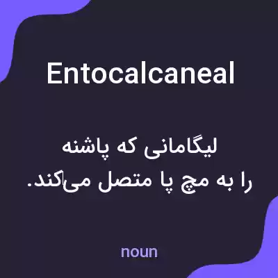 معنی entocalcaneal به فارسی معنی entocalcaneal به فارسی