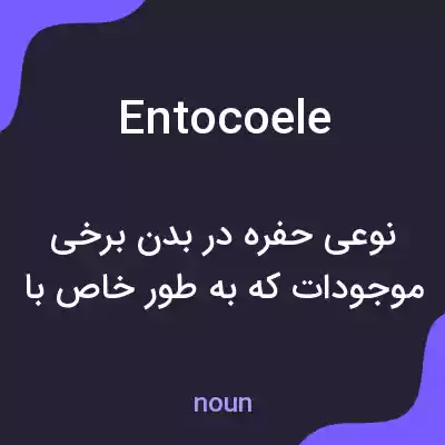 معنی entocoele به فارسی معنی entocoele به فارسی