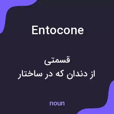 معنی entocone به فارسی معنی entocone به فارسی