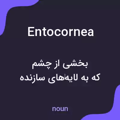 معنی entocornea به فارسی معنی entocornea به فارسی