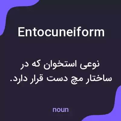 معنی entocuneiform به فارسی معنی entocuneiform به فارسی