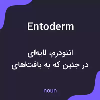 معنی entoderm به فارسی معنی entoderm به فارسی