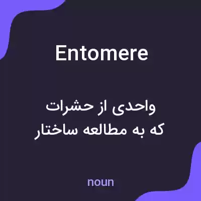 معنی entomere به فارسی