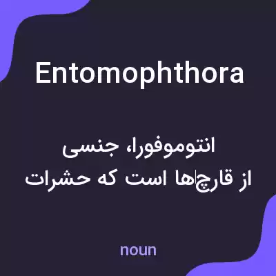 معنی entomophthora به فارسی معنی entomophthora به فارسی