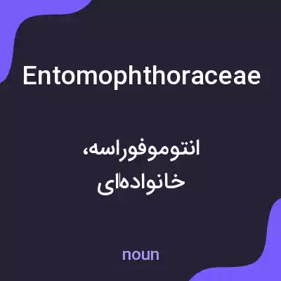 معنی entomophthoraceae به فارسی معنی entomophthoraceae به فارسی