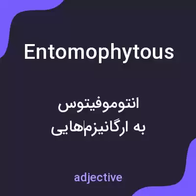 معنی entomophytous به فارسی معنی entomophytous به فارسی