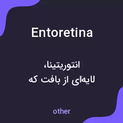 معنی entoretina به فارسی