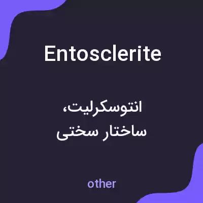 معنی entosclerite به فارسی معنی entosclerite به فارسی