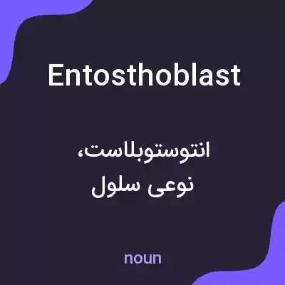 معنی entosthoblast به فارسی معنی entosthoblast به فارسی