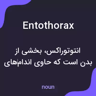 معنی entothorax به فارسی معنی entothorax به فارسی