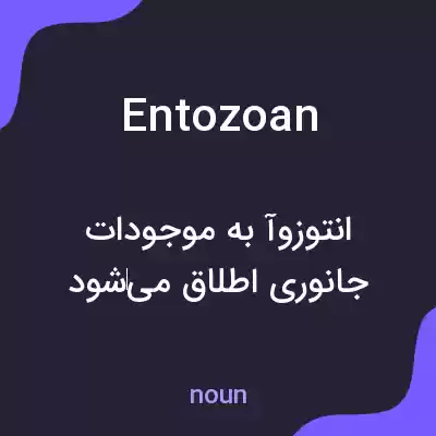 معنی entozoan به فارسی معنی entozoan به فارسی