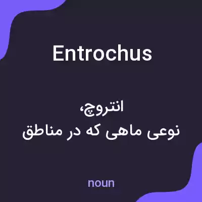 معنی entrochus به فارسی