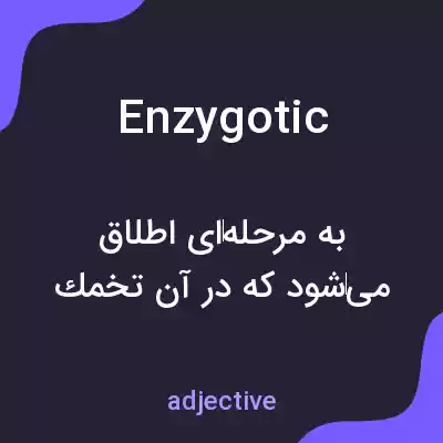 معنی enzygotic به فارسی معنی enzygotic به فارسی