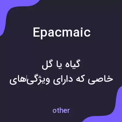 معنی epacmaic به فارسی معنی epacmaic به فارسی