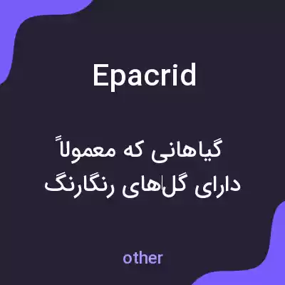 معنی epacrid به فارسی معنی epacrid به فارسی