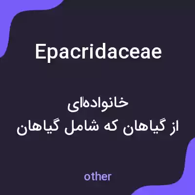 معنی epacridaceae به فارسی معنی epacridaceae به فارسی