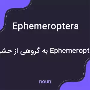 معنی ephemeroptera به فارسی معنی ephemeroptera به فارسی
