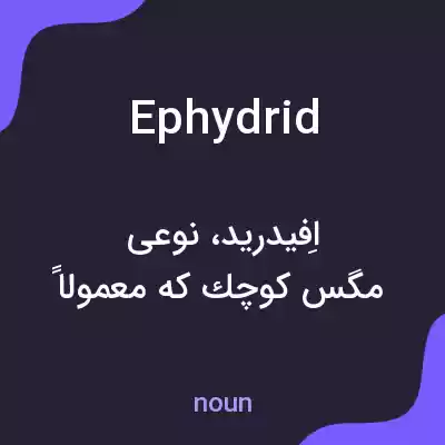 معنی ephydrid به فارسی