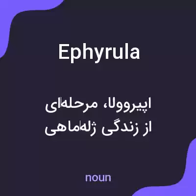 معنی ephyrula به فارسی معنی ephyrula به فارسی