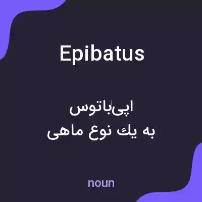 معنی epibatus به فارسی