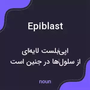 معنی epiblast به فارسی معنی epiblast به فارسی