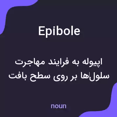 معنی epibole به فارسی معنی epibole به فارسی