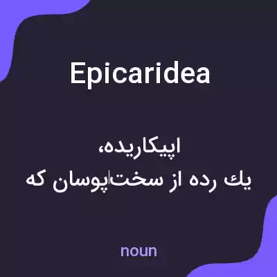 معنی epicaridea به فارسی معنی epicaridea به فارسی