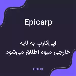 معنی epicarp به فارسی معنی epicarp به فارسی