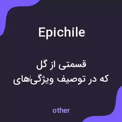 معنی epichile به فارسی معنی epichile به فارسی