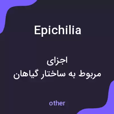 معنی epichilia به فارسی معنی epichilia به فارسی