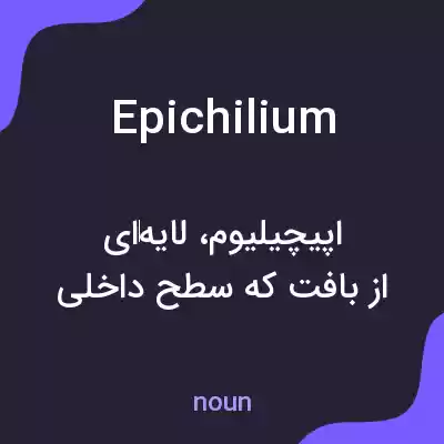 معنی epichilium به فارسی معنی epichilium به فارسی