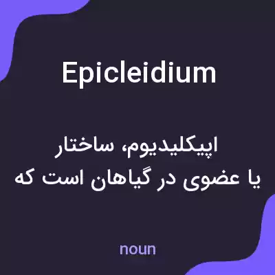 معنی epicleidium به فارسی معنی epicleidium به فارسی
