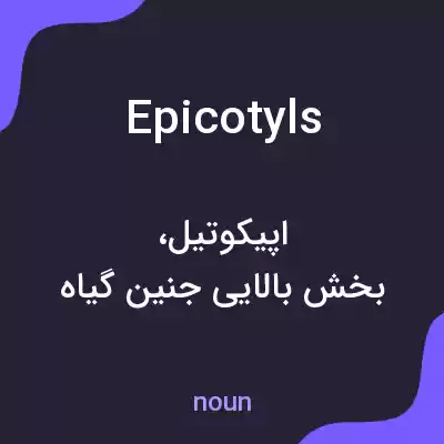 معنی epicotyls به فارسی معنی epicotyls به فارسی