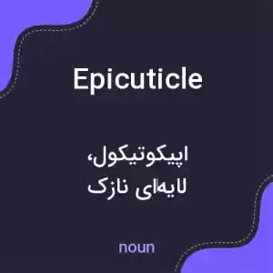 معنی epicuticle به فارسی معنی epicuticle به فارسی