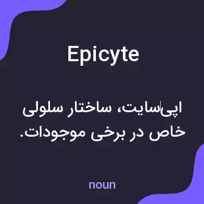 معنی epicyte به فارسی معنی epicyte به فارسی