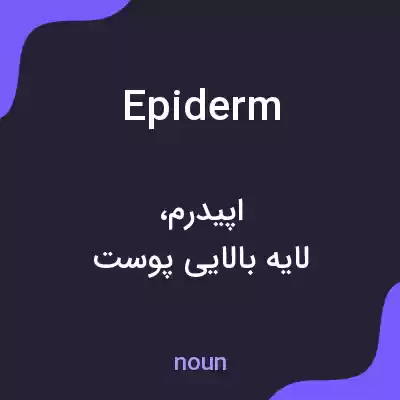 معنی epiderm به فارسی معنی epiderm به فارسی