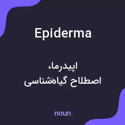 معنی epiderma به فارسی معنی epiderma به فارسی