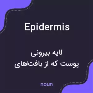 معنی epidermis به فارسی معنی epidermis به فارسی