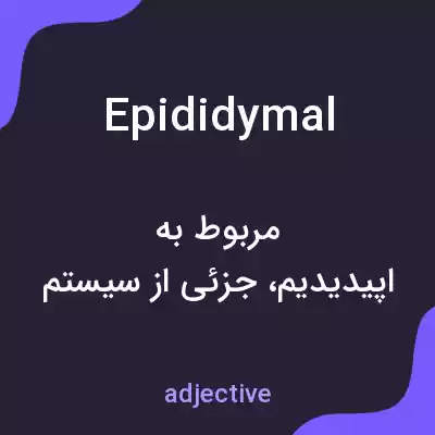 معنی epididymal به فارسی معنی epididymal به فارسی