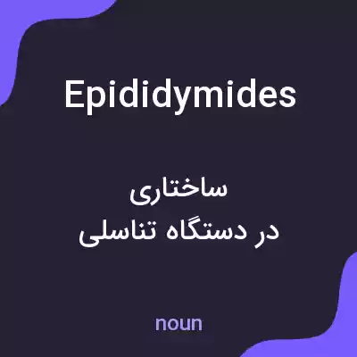 معنی epididymides به فارسی معنی epididymides به فارسی
