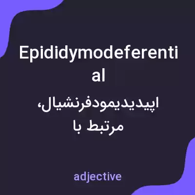 معنی epididymodeferential به فارسی معنی epididymodeferential به فارسی