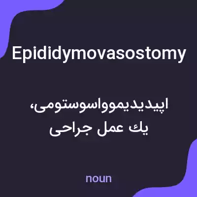 معنی epididymovasostomy به فارسی معنی epididymovasostomy به فارسی