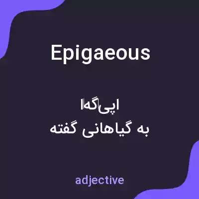معنی epigaeous به فارسی معنی epigaeous به فارسی