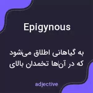 معنی epigynous به فارسی معنی epigynous به فارسی