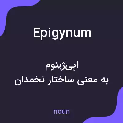 معنی epigynum به فارسی معنی epigynum به فارسی